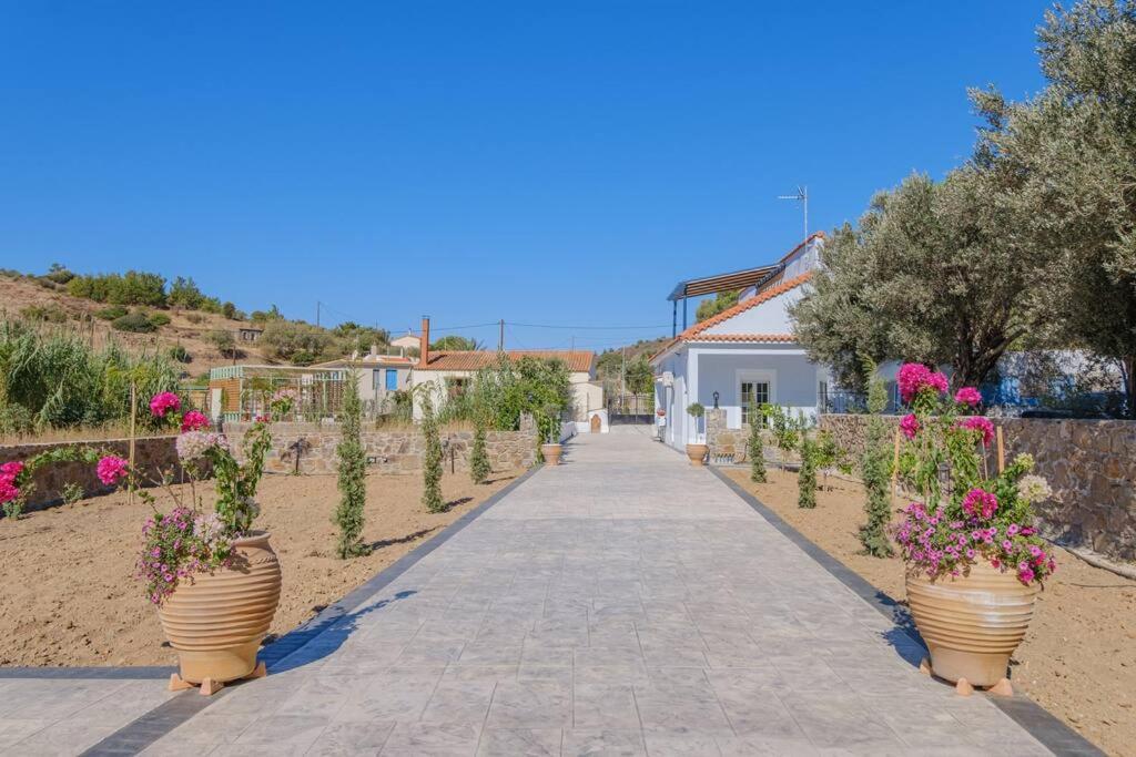 Lefkathia Beach Villa - Gated Beach-Front Private Villa At Lefkathia Beach, Chios! Volissos Exterior foto